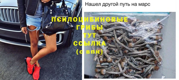 трава Новозыбков
