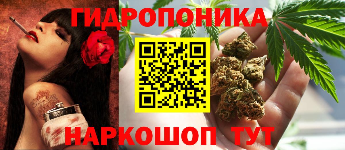 Шишки марихуана OG Kush Сатка